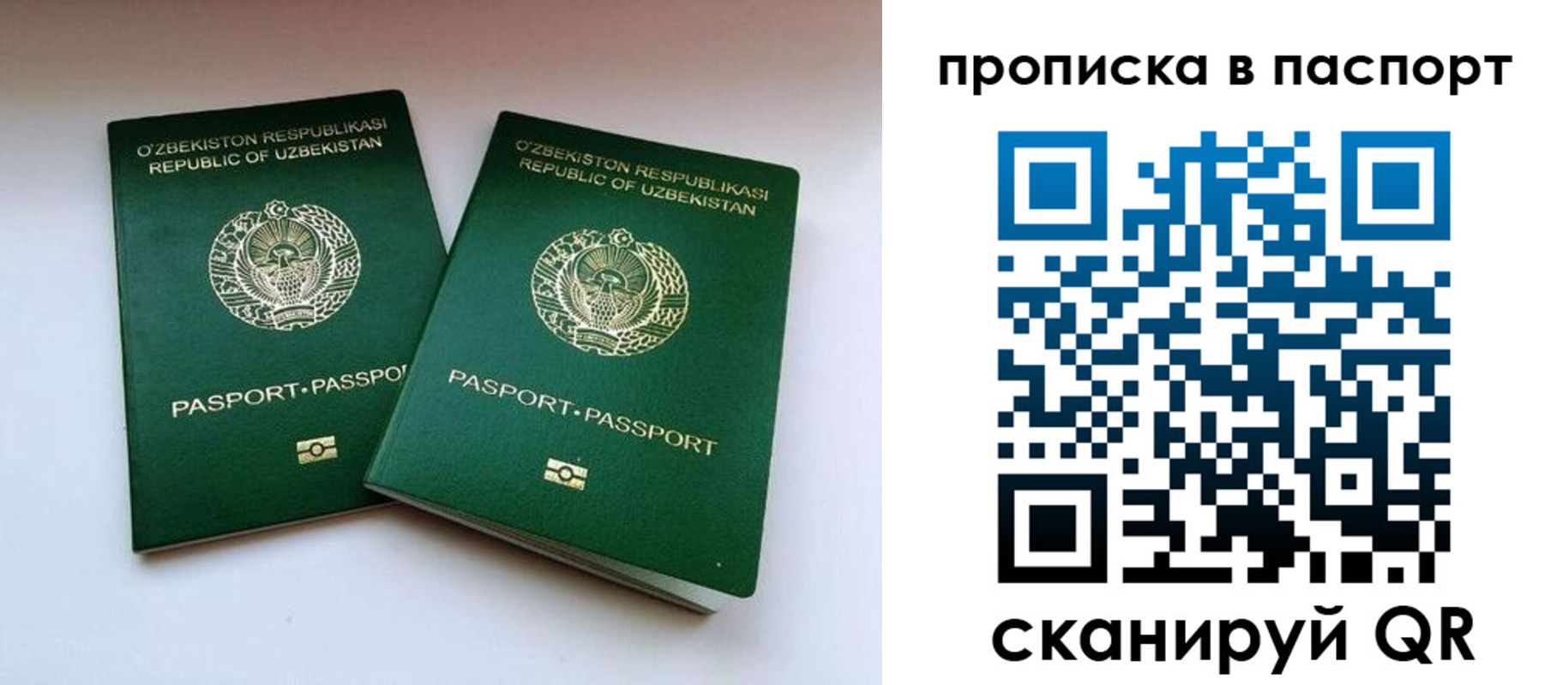 временная регистрация в Дрезне